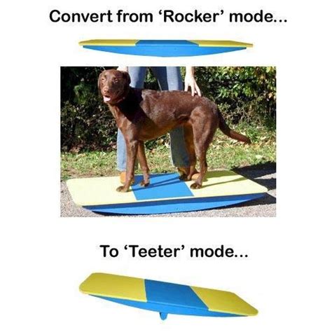 Search by rates, reviews, experience, and more! Affordable Agility Rocker Board in 2020 | Dog daycare near ...