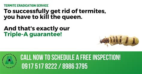 Residential and commercial pest prevention, removal and extermination. Termite Control: Spraying and Dusting vs Baiting ~ Triple ...