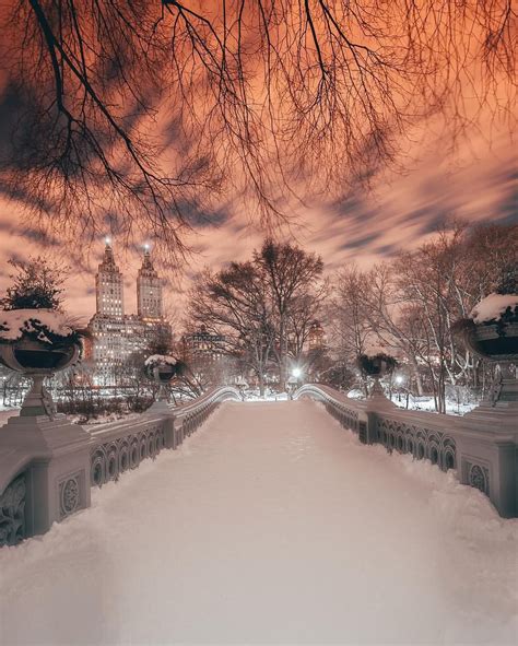 Here are 10 essential things to see in central park when you visit new york city. Pin by Kathy Shannon on Photography | City aesthetic, New ...