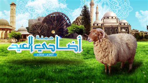 عروض نت هايبر ماركت سوبر ماركت تخفيضات خصومات تنزيلات إعلانات مبوبة برومو أضاحي العيد 1437هـ - 2016م - YouTube