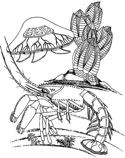 Lobster coloring page to download and coloring. Lobster Coloring Page at GetColorings.com | Free printable ...