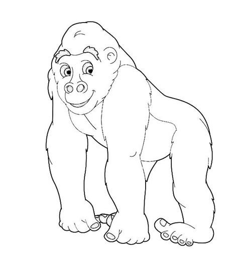3 character flash kid flash vs grodd gorilla coloring pages 6 standing gorilla vector royalty stock images image 32973859 full size of coloring pages glamorous coloring page gorilla online pages 22 on books with large size of coloring pages glamorous coloring page gorilla. Going Safari With Gorilla Coloring Page : Coloring Sky ...