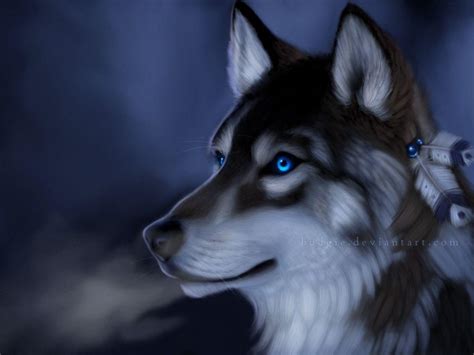 I'm a new wolf on tumblr ! Fantasy Wolf Wallpapers - Wallpaper Cave