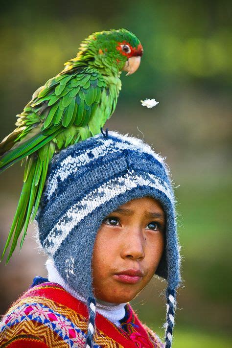 Visit us for wholesale beauty supplies and hair care products. 82 Best Meet Inca People Today: Especially Children ideas ...