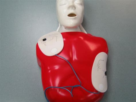 We did not find results for: CPR A Re-Certifications | Renew there previous CPR "A ...