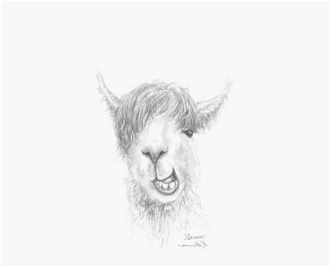 Begin by drawing the llama's head. Pencil Fortnite Llama Drawing / How To Draw Llama From ...