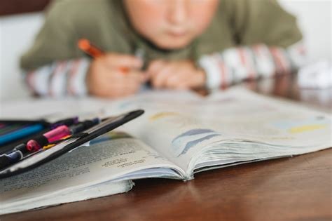 Garçon Fait Ses Devoirs | Photo Gratuite