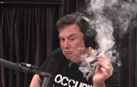 People and even companies can laugh all they want. Tesla stock falls on executive departures, Musk smoking ...