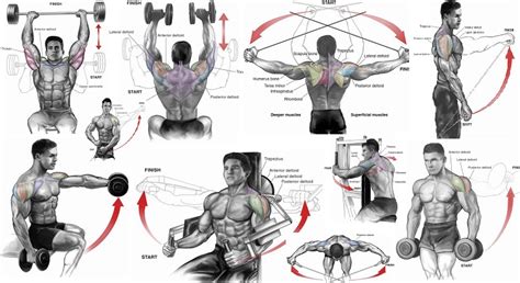 The gym is an undebatable symbol of strength, power, and endurance. 5 Best Shoulder Workouts for Mass ~ multiple fitness