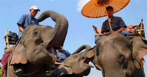 The end for Lao's elephants