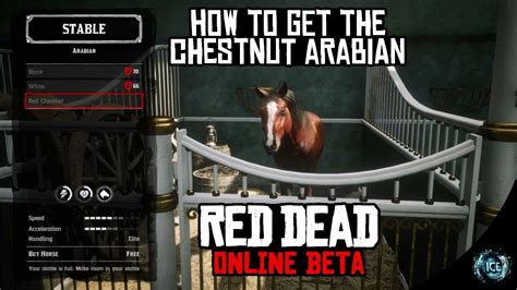 The two free horses are the arabian red chestnut and the thoroughbred black chestnut. How To Get The Chestnut Arabian Horse PS4 - Red Dead ...