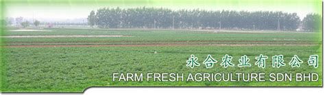 Alles rund um den aussteller golden fresh sdn bhd produkte und dienstleistungen messestand kontaktinformationen. Your One-Stop Talent Search Solution: ADV Farm Fresh ...