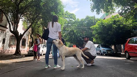 Éstas son las fotos del sismo que se (araceli lópez). Temblor de hoy: ¿Qué es un terremoto, cuántos tipos ...