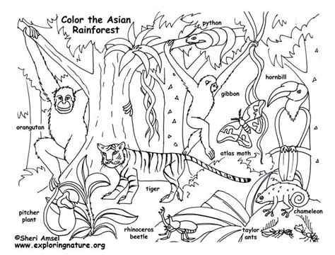 You can download it in your computer by clicking download button. Color and Learn About Habitats on Exploringnature.org ...