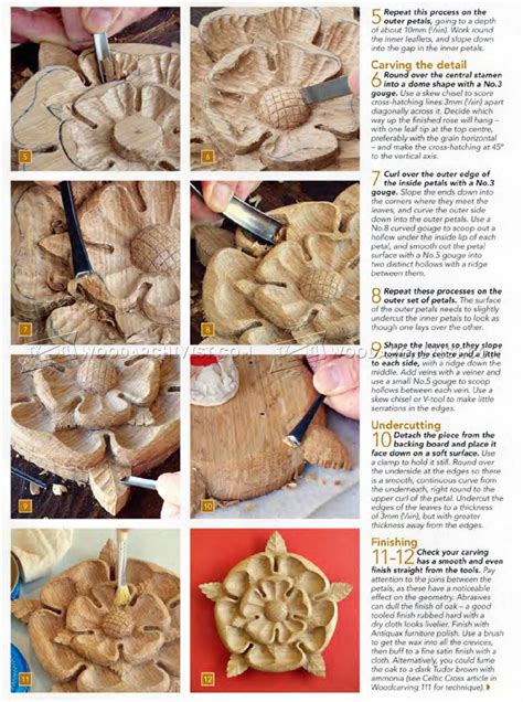 Tudor Rose Carving - Wood Carving Patterns • WoodArchivist