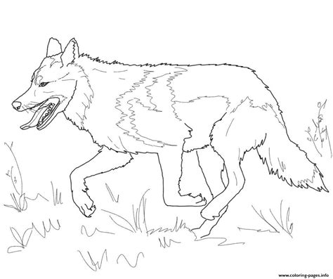 Wolves are nocturnal animals that live on the continents of asia, america, europe and north africa. Running Mexican Grey Wolf Coloring Pages Printable