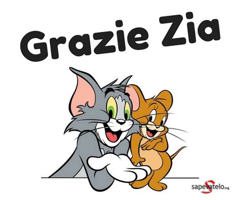 Plural of grazia (grace), from latin gratia, as used in the phrase grātiās agō (i thank; Grazie 17 | Sapevatelo