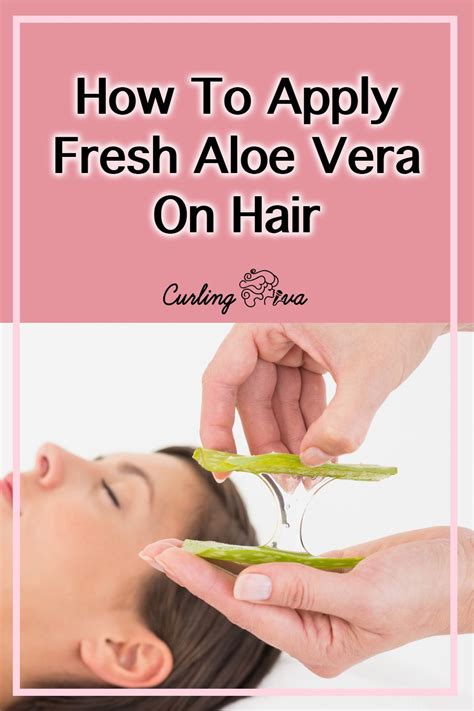 Jan 30, 2020 · coffee oil has been proven to improve blood circulation on the human scalp. How to Apply Fresh Aloe Vera on Hair in 2020 | Aloe vera ...
