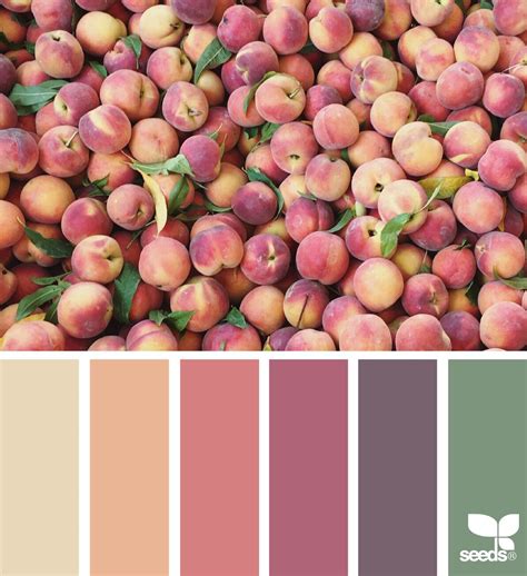 Pinke farbe mit spülung mischen, da wenn ich rosane bzw. Puder Lila Rosa Grün | Bunte designs, Farbschemata ...