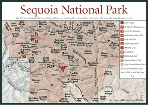 Maybe you would like to learn more about one of these? Sequoia National Park Map | Where in the world would you ...