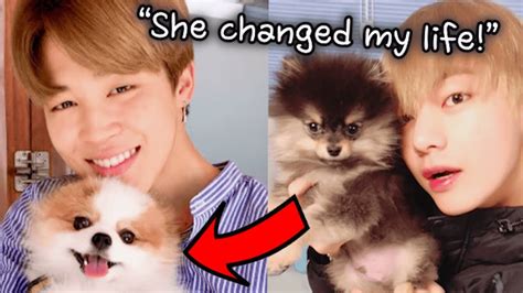 This month i started my new pet project getbrushes.com, a kind of photoshop brushes directory with a couple of extra twists. All about BTS' Pets! Introducing BTS' New Family - YouTube