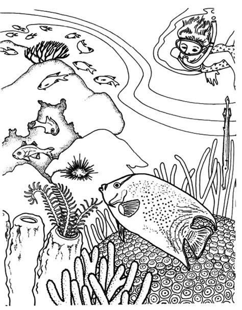 Check spelling or type a new query. Diving Enjoy Viewing Coral Reef Fish Coloring Pages : Kids ...