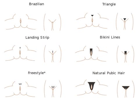 50 women's pubic hair styles! Vagina hair patterns. Vagina hair patterns.