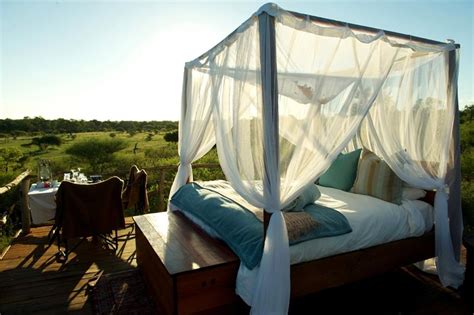 I would highly recommend lion sands to anyone looking to experience the amazing sabi sands reserve and south africa's best game viewing! You, me in bed now!!! | Lion sands, Lion sands game ...