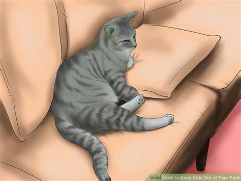 How to keep cats out of backyard. 3 Ways to Keep Cats Out of Your Yard - wikiHow