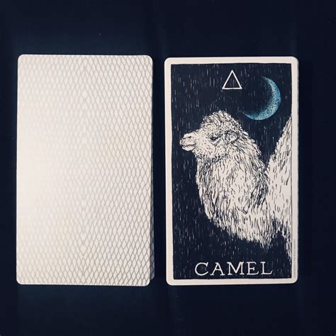 Before you begin your free tarot card reading, it is very important that you ground yourself. Today's one card draw : tarot