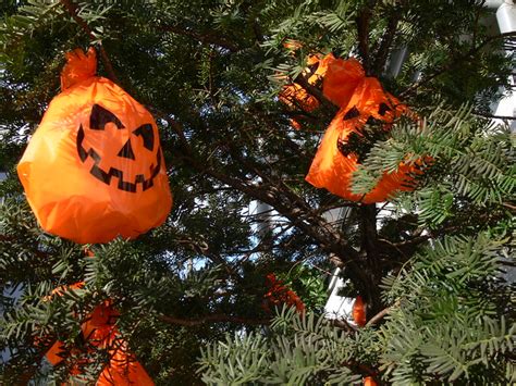 Opinion is divided on this topic, so we take a look at all possibilities. jack o'lantern tree | Flickr - Photo Sharing!