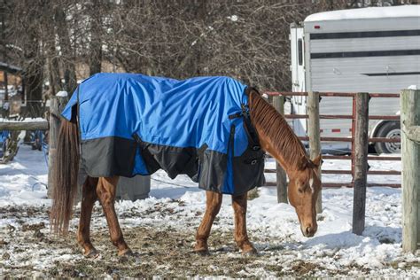 Sleepwish galloping horse blanket for girls cowboy western fleece blanket plush sherpa throw blanket. Tough 1® Super Tough 1680D Waterproof Poly Turnout Sheet ...