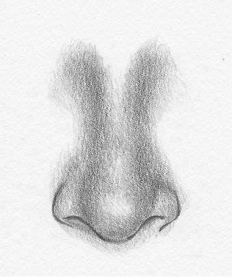 It is much easier to draw a nose with such markings. Pin on Drawings/ etc.