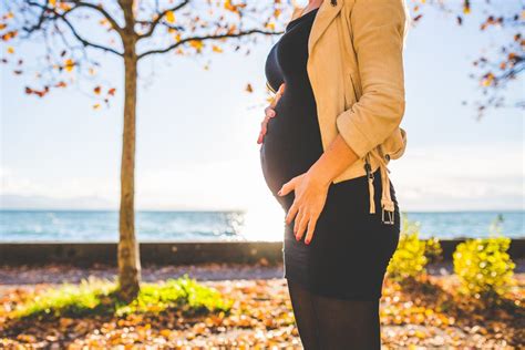Dalam hitungan ibu hamil akan mengalami kenaikan berat badan sebanyak satu hingga dua kilogram dari trimester pertama kehamilan. Ibu Hamil Nak Travel Jauh Musim Raya Tak Ada Masalah, Cuma ...
