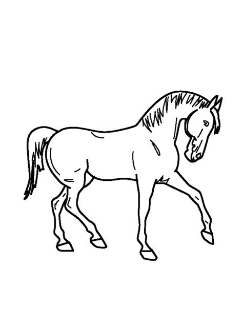 Goed kleurplaat paard van sinterklaas kleurplaat 2019. paard-kleurplaat | Gebruiken voor taart | Pinterest