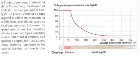 Svt graphique du systeme solaire. Graphique En Svt / Learn vocabulary, terms and more with ...