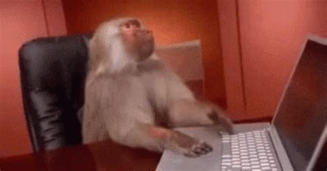 Mother monkey is very angry. México: Cómo hacer tu declaración de impuestos al SAT a ...