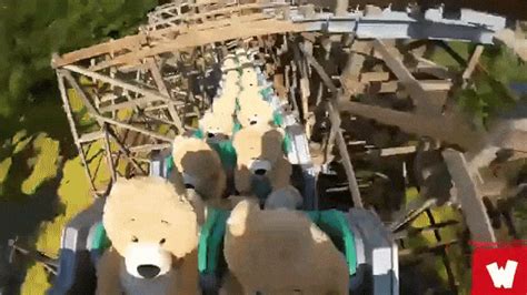 Designed by werner stengel, the roller coaster was built by bolliger & mabillard (b&m) and opened in 1998 in the kissing tower hill section of the park. 22 Giant Teddy Bears Ride on a Roller Coaster