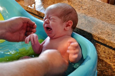 A baby hippo is sponged by a. Dworianyn Love Nest: Ethan's first bath