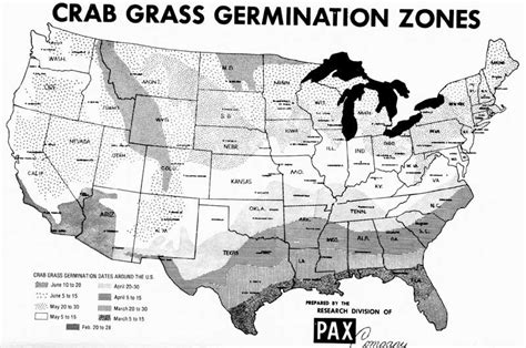 If applied correctly, you may not see a single cluster of crabgrass this season! Weeds and Their Control