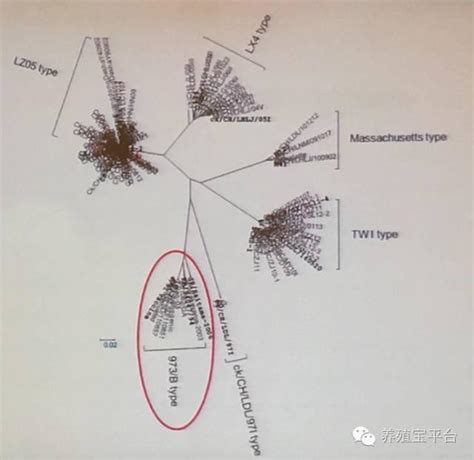 東非的衣索比亞為高原地形 氣候 為高地氣候 而西非幾內亞灣的地形為盆地 屬於熱帶雨林氣候. 農科院劉勝旺：中國禽類傳染性支氣管炎的現在與未來 - 每日頭條