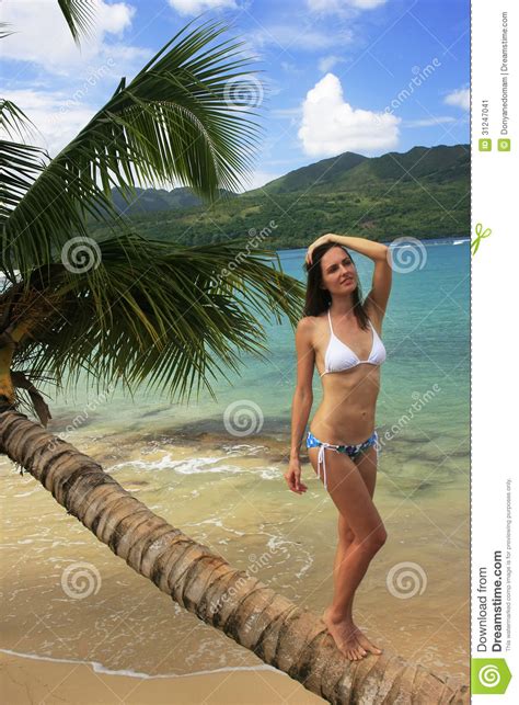 Then publish and share your trees for others to see. Young Woman In Bikini Standing On Leaning Palm Tree At ...
