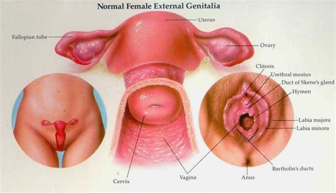 We did not find results for: Ciri-Ciri Kanker Serviks dan Penyebabnya | Menjual Crystal ...