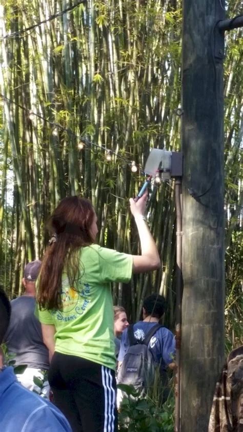 Berikut merupakan 6 sebab kenapa bateri telefon bimbit selalu cepat kong. Gambar-Gambar Lucu Mereka Yang Cas Handphone Bila ...