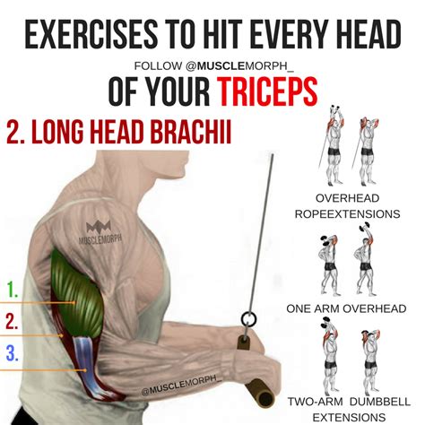 Maybe you would like to learn more about one of these? Pin on Workout