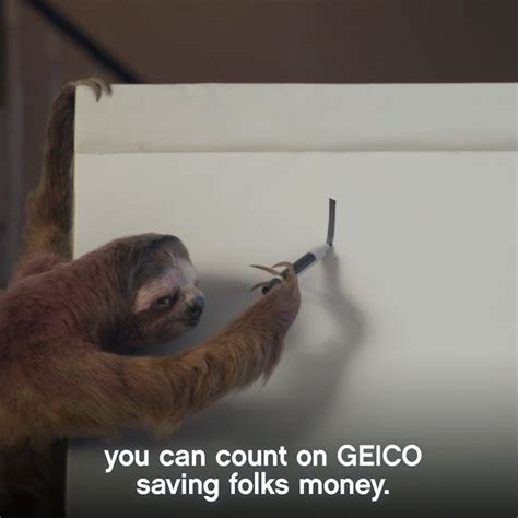 New geico commercial with cavemen sloth gecko lady on the phone and the camel from hump day and the squirrels. Pin on GEICO Commercials