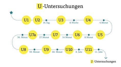 Sie findet unmittelbar nach der geburt des kindes statt. Was Sie zu Vorsorgeuntersuchungen bei Kindern wissen müssen