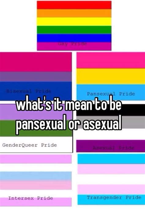 Bojack's success is in its precision. what's it mean to be pansexual or asexual