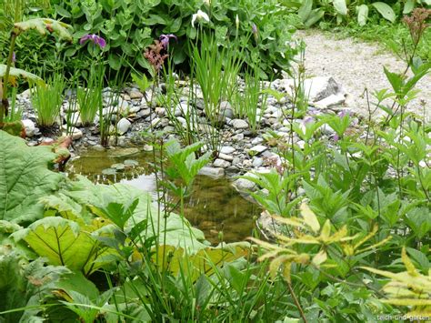 Eine teichanlage im garten lädt dazu ein dem alltag in eine atmosphäre voller harmonie und malerischer idylle zu entfliehen. Teich und Garten natürlich gestalten