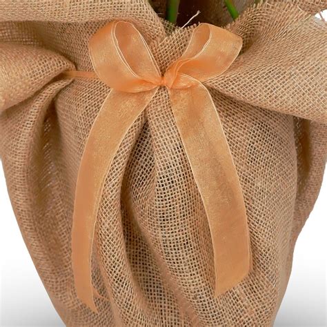 Great savings & free delivery / collection on many items. Golden Wedding Anniversary Rose Bush Gift - Willows living ...